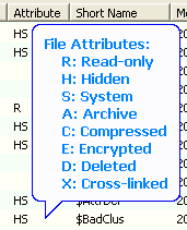 character represented file attributes